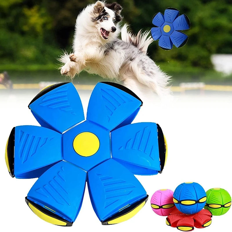 Futurism  Saucer Ball Dog Toys