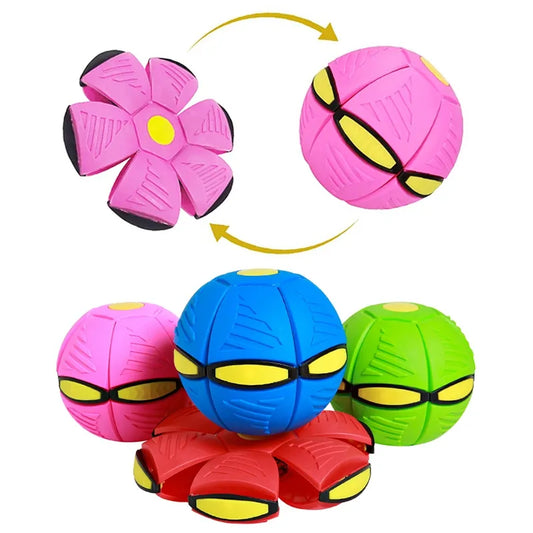 Futurism  Saucer Ball Dog Toys