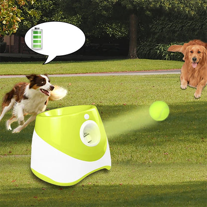 Pet Tennis Automatic Launcher