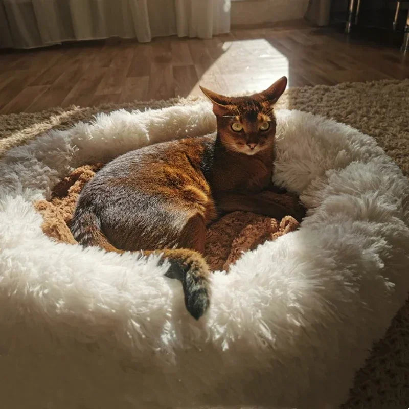 Pets Super Soft Dog Bed