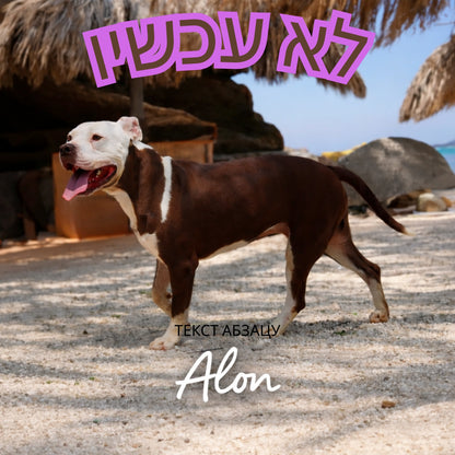 חולצת טי עם הדפס כלב 🐾