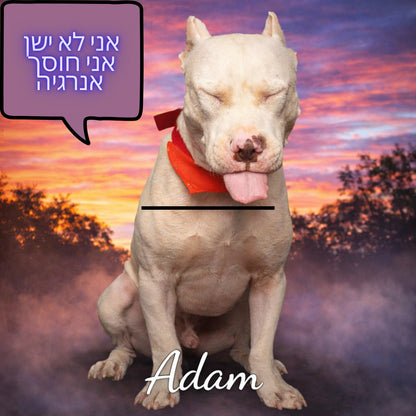 חולצת טי שחורה עם הדפס כלב בעיצוב ייחודי