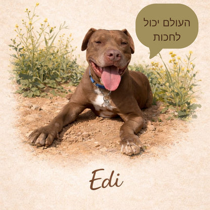 חולצת טי עם הדפס כלב – סטייל עם אופי