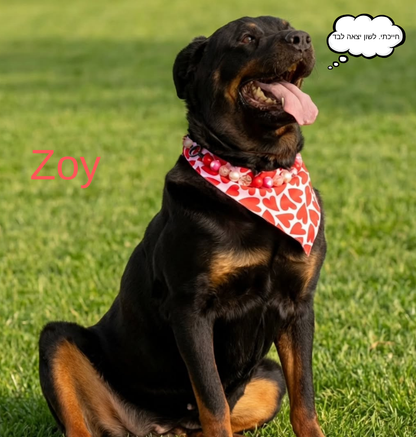 🐾 חולצת טי יוניסקס